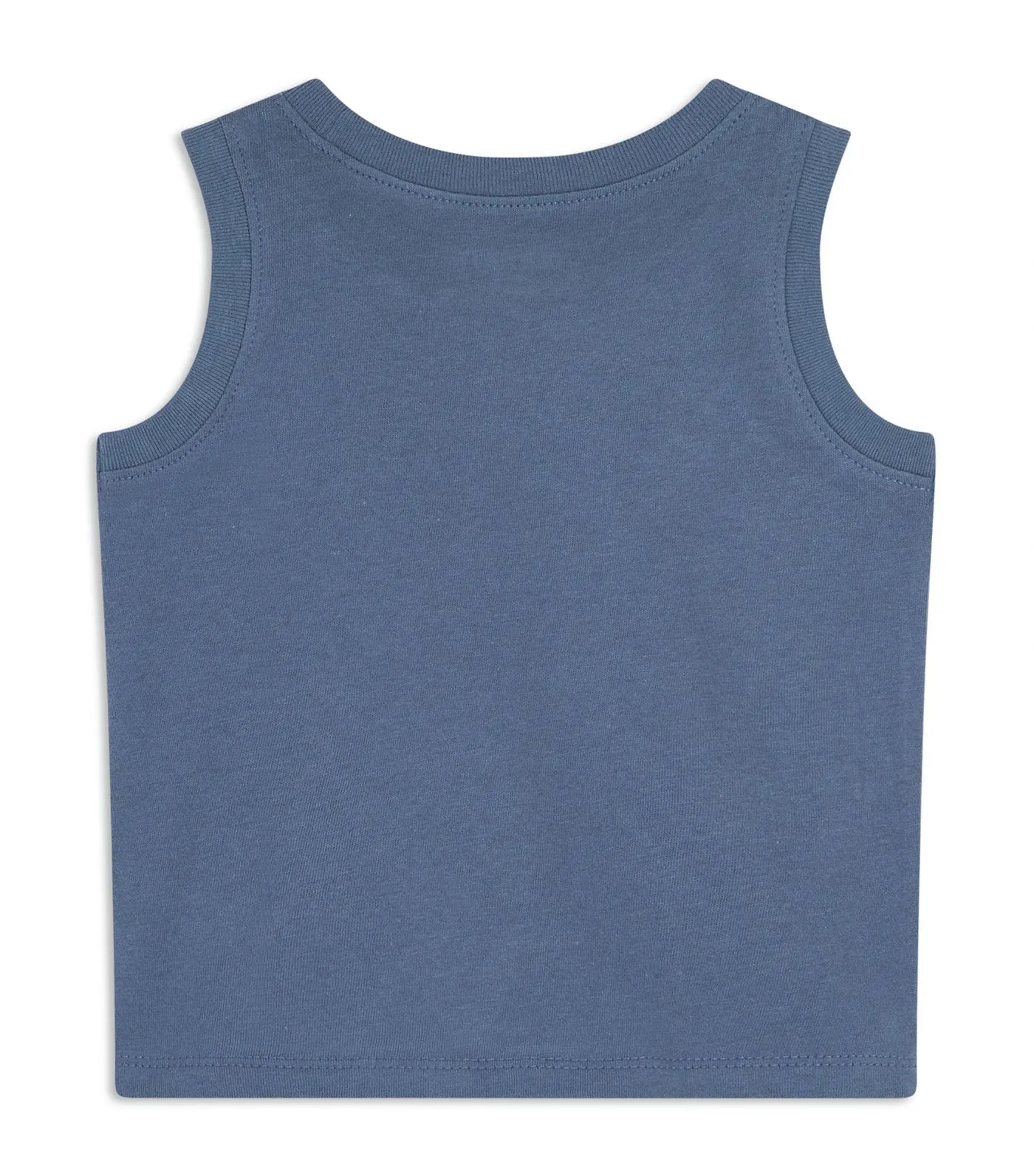 Graphic Tank Top For Toddler Boys Wintry Waters